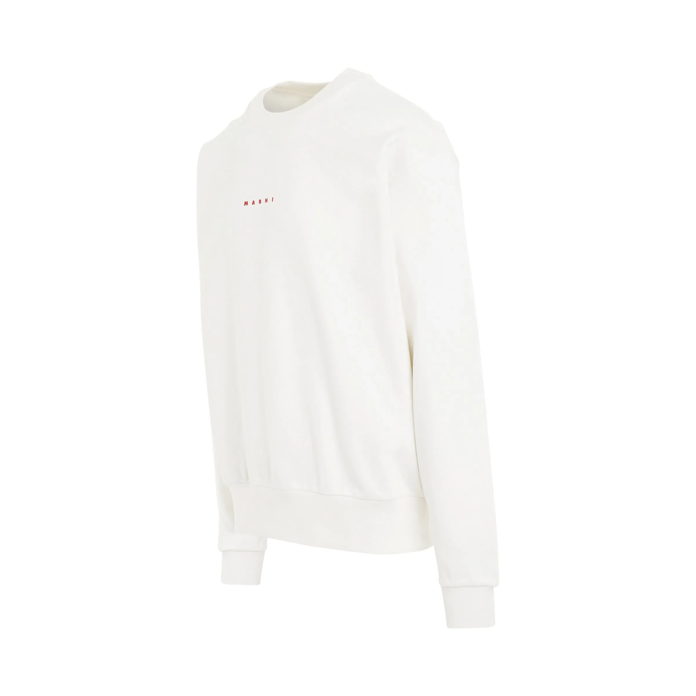 Logo Sweatshirt in Natural White