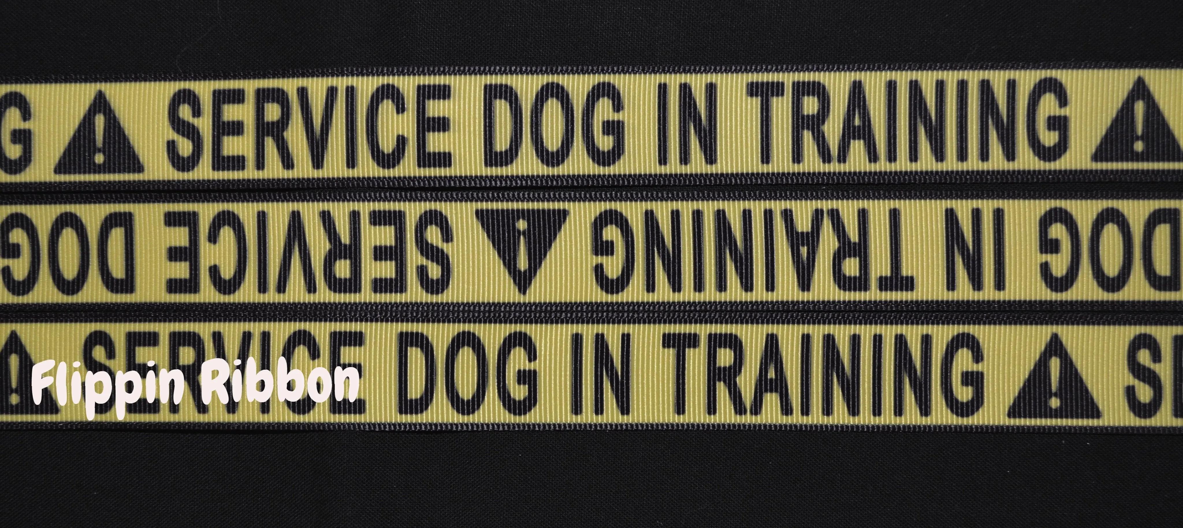Service Dog in Training Ribbon - 7/8 inch Printed Grosgrain